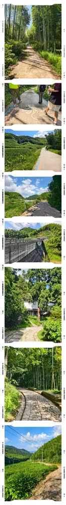 古道、山水与竹林长幅拼图