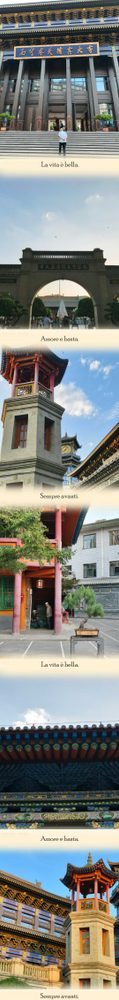 清真寺与夜景拼图